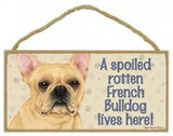 Sign and Image: A spoiled rotten French Bulldog lives here! (blonde in Colour)
