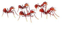 Metal Walking Ants - Red or Black