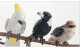 Pot Sitters 3 birds on a perch - Cockatoo, Magpie and Kookaburra