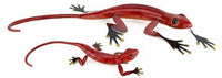 Lizards