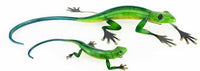Lizards